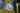 Der Emaille Becher hängt an einem gelben Wanderrucksack. Er ist mit dem Foto von zwei Kindern bedruckt und mit einem Karabinerhaken befestigt. Der Rucksack wird von einer Person, die sich in der Natur bewegt, auf dem Rücken getragen. Links neben dem Becher häng eine Schirmmütze am Rucksack.